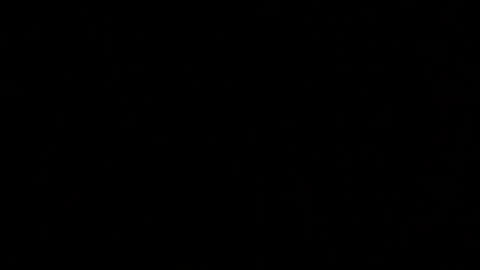 Elle online show from 10.11.25