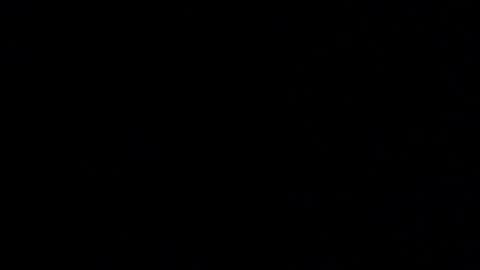 Elle online show from 12.18.25