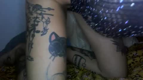 margotshorse online show from 02.22.26