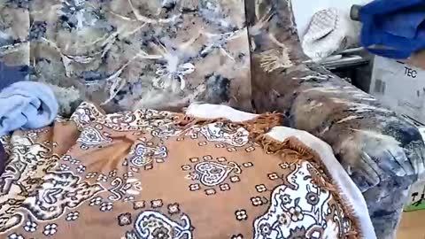 Snapshot of marian20242025 chatting on 03.11.26 marian20242025 online show from 03.11.26