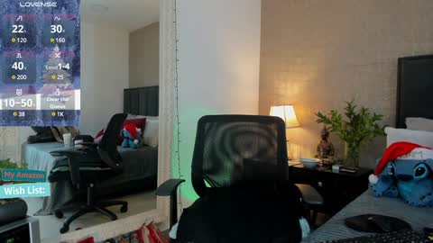 Snapshot of mariana_c chatting on 12.31.24 Mar y online show from 12.31.24
