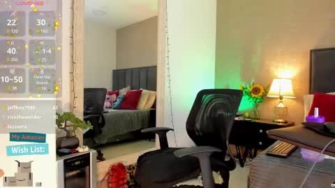Snapshot of mariana_c chatting on 03.01.25 Mar y online show from 03.01.25