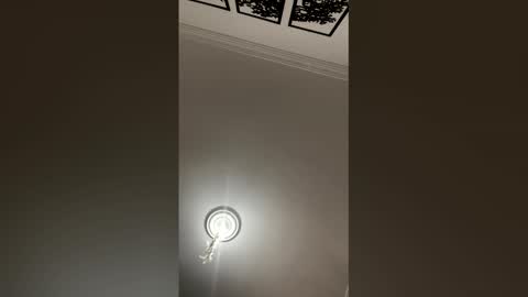 Mar y online show from 02.25.26