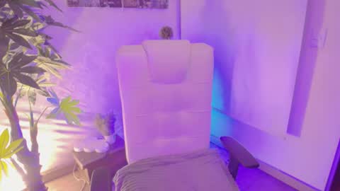 Vane online show from 11.08.25