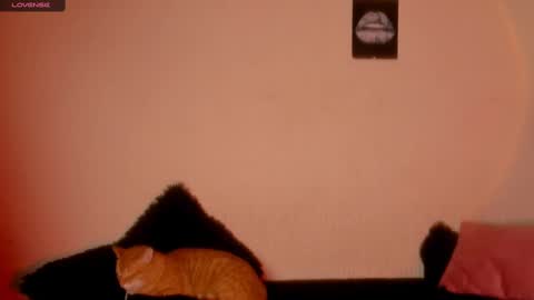 mariana williams online show from 02.22.25