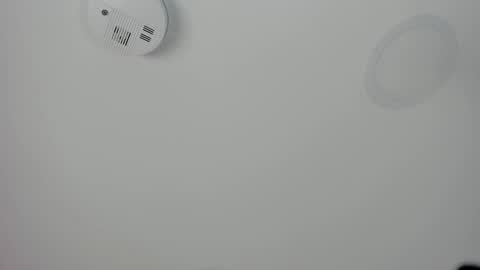 Maria Pettit online show from 03.08.26