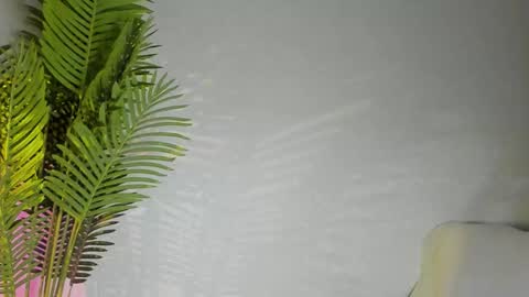 Snapshot of maribett chatting on 11.08.25 Masha online show from 11.08.25