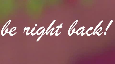 Snapshot of marie_reyes_ chatting on 12.23.24 Mary 3 online show from 12.23.24