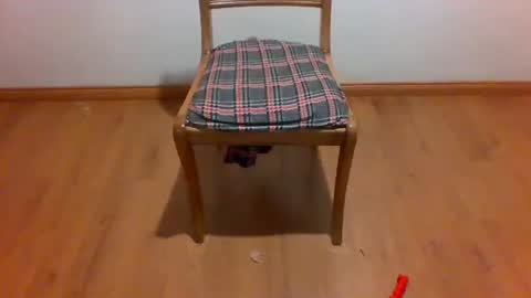 Maripaula369 online show from 01.12.25