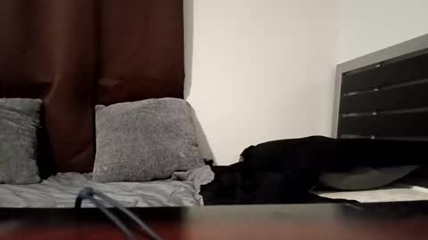 markbwcusmc online show from 01.15.26