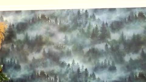 markshot_ online show from 12.14.25