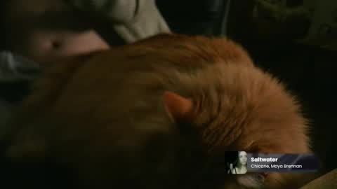 marnieccc online show from 02.21.26