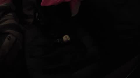 Snapshot of martamoontrans chatting on 11.17.25 martamoontrans online show from 11.17.25