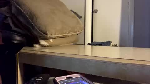 martasub online show from 12.15.25