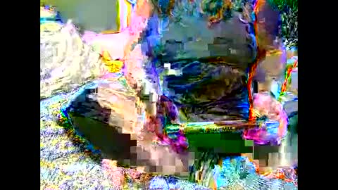 Martha online show from 11.06.25