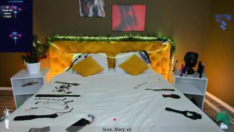 Snapshot of mary_xextra chatting on 12.26.24 Mary GTM3Mon Wed Thu Sat Sun 0400 am-1030pm online show from 12.26.24