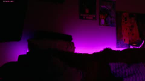    online show from 07.17.26