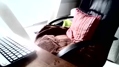 Snapshot of maskime59 chatting on 12.09.24 maskime59 online show from 12.09.24