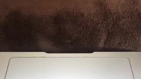 massivehungbigdick online show from 06.02.26