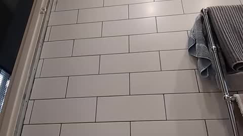 Bob online show from 10.14.25