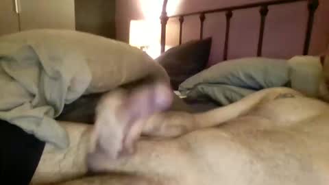 Snapshot of matrixdog69 chatting on 11.04.25 matrixdog69 online show from 11.04.25