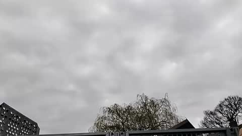 Mattythelog online show from 03.19.26