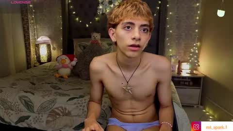 Snapshot of matty_spark chatting on 12.15.25 matty_spark online show from 12.15.25