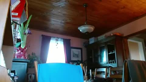 Maurice online show from 01.15.25