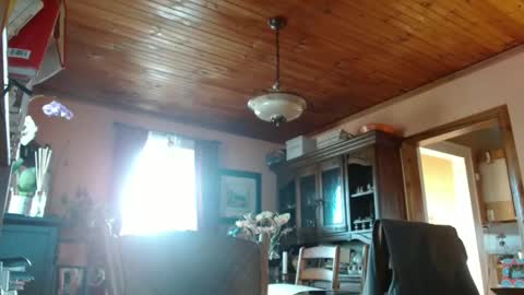 Maurice online show from 03.09.25