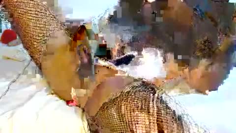 Snapshot of mauroo_sex chatting on 02.06.25 mauro sex online show from 02.06.25