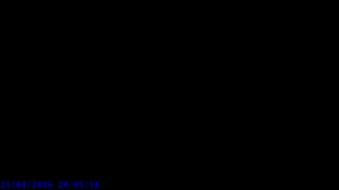 Maxel F online show from 04.25.26