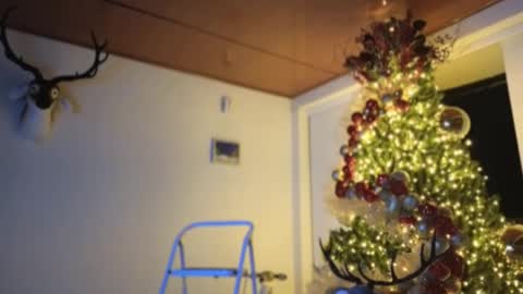 Sebastian online show from 12.03.24