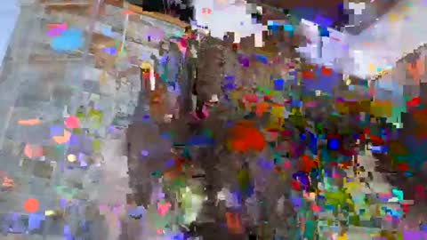 Sebastian online show from 12.04.24