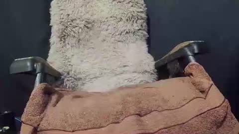 Snapshot of maximus_oreally chatting on 01.08.25 Max online show from 01.08.25