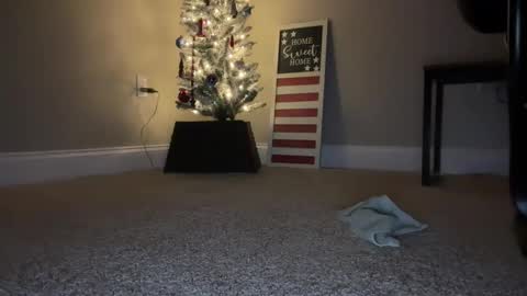 Snapshot of maxx276828 chatting on 11.22.25 maxx276828 online show from 11.22.25