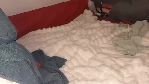 Snapshot of maybeanal chatting on 10.12.25 maybeanal online show from 10.12.25