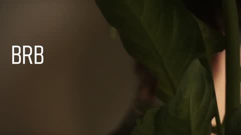 Mary  . online show from 12.28.24