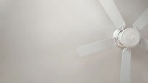 Snapshot of mcwire4 chatting on 01.01.25 mcwire4 online show from 01.01.25