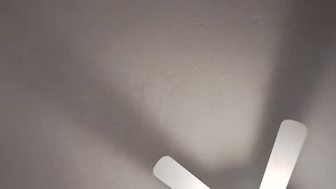 Snapshot of mcwire4 chatting on 01.19.25 mcwire4 online show from 01.19.25