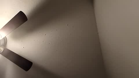 Jizzy online show from 03.16.26