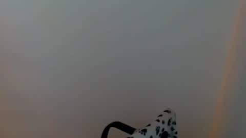 Meg4n Miauuuu online show from 07.29.26