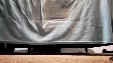 megacock420420 online show from 12.10.24