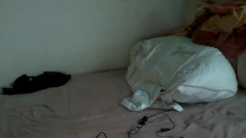 Snapshot of megamanp chatting on 12.15.24 megamanp online show from 12.15.24