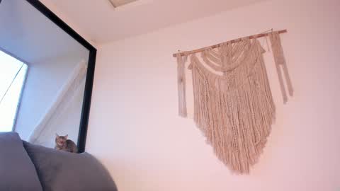 Snapshot of megan__88 chatting on 01.03.25 megan online show from 01.03.25