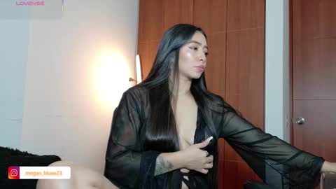 Snapshot of megan_bluee_ chatting on 01.15.26 Megan Bluee online show from 01.15.26