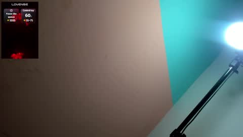 megan online show from 12.12.24