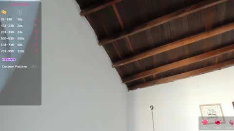 Meghan  online show from 01.20.25