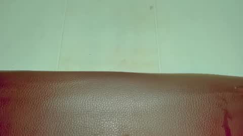 Snapshot of melania_browis chatting on 06.15.26 Melania online show from 06.15.26