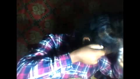 melanih online show from 10.10.25