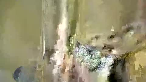 Snapshot of melanin_bae chatting on 12.04.25 Baby online show from 12.04.25